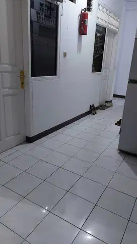 Di Jual Rumah Kost Kamar Banyak Dekat Kampus di Jakarta