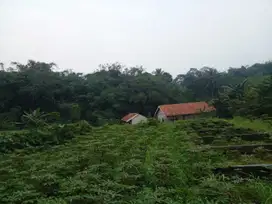 Sangat Murah Tanah Kavling SHM Mulai 500 ribuan permeter