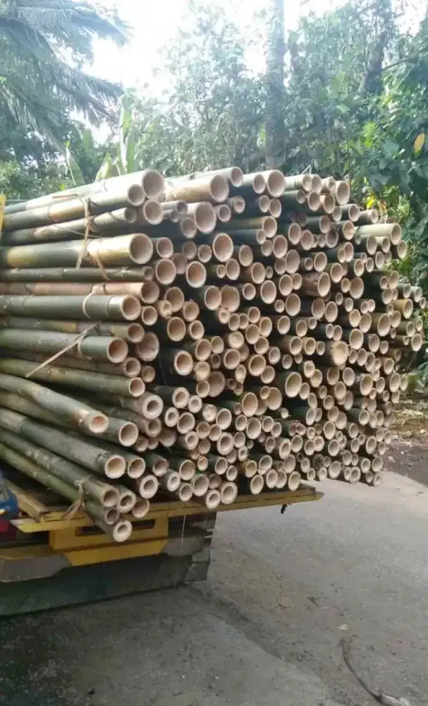 Dijual bambu dan kayu lokal