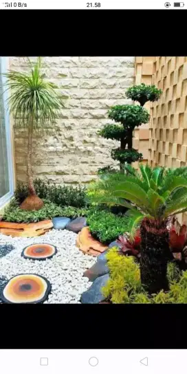 Spesialis pembuat Taman dan kolam koi