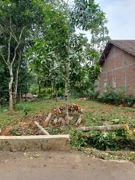 Dijual TanahJl. Jetis, Kalisegoro Gunungpati - Semarang 