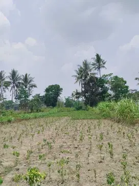Jual Tanah Jogja di Jl. Kapten Hariyadi Bisa Cicilan Tanpa Bunga