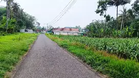 dijual tanah daerah pakis 5ha. 350rb/m. jalan aspal besar