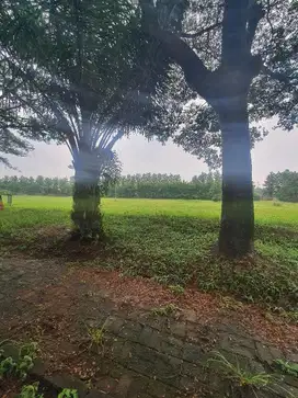 Dijual kavling cendana kedaton golf suvarna sutera tangerang