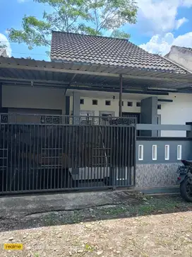 DIJUAL RUMAH MURAH KOBER PURWOKERTO BARAT