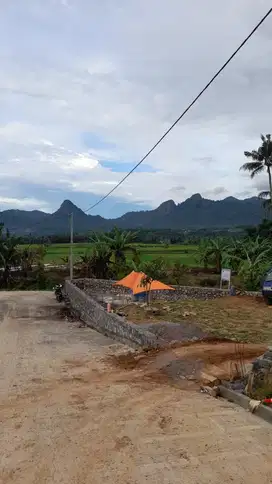 Kavling Tanah Bogor Akses Nempel jalan Provinsi,Harga Terjangkau lagi