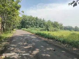 DIJUAL TANAH MURAH KALIBAGOR DEKET KAMPUS