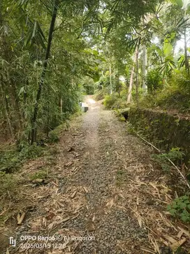 DIJUAL TANAH MURAH KALIORI KALIBAGOR