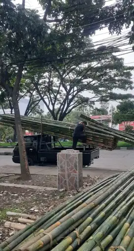 BAMBU STEGER TIANG COR DAK