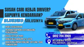 Lowongan terbatas pengemudi, supir, sopir Bluebird