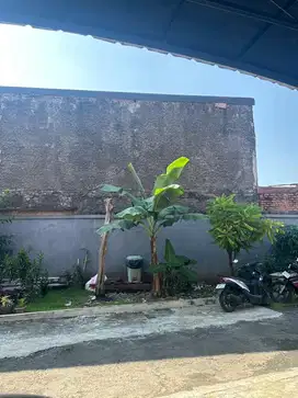 ART MASAK, JAGA ANAK