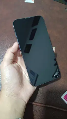 Iphone 13 pro 1 TB siera blue