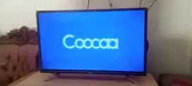 TV LED cooca 32 inc digital