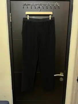 Zara Pleats Pants Size M