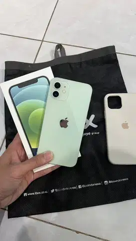 Iphone 12 Green 64GB Ex Second Ibox Fullset Normal Mulus No Minus