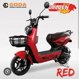 Sepeda Listrik GODA