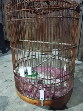 jual sangkar murai No.2