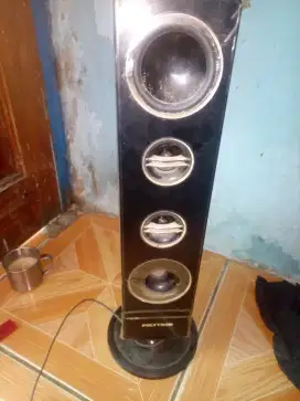 Salon tv Polytron