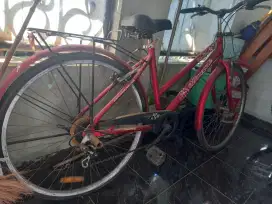 Sepeda Wimcycle 26 inc
