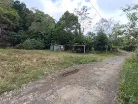 Tanah di baturiti, Tabanan