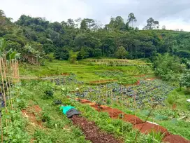 TANAH PRODUKTIF + VILLA CIWIDEY PASIRJAMBU