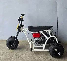 ATV motor 3 Roda - Triker