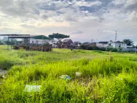 Barang LANGKA Lahan Tanah Poros Tunggulwulung Saxophone Dijual Murah