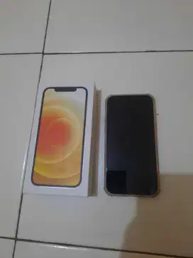 Iphone 12 interrrr wifi only