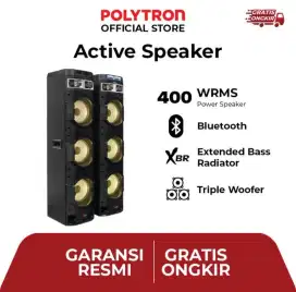 Polytron Speaker Active Pas 10DF38
