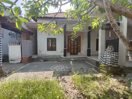 Di Jual Murah Rumah Dekat Sanur Di Jl. Siulan Gg Gunung Sekar Denpasar