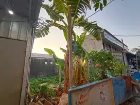 Tanah Tenggilis Timur cocok untuk kos kosan dekat Ubaya Surabaya