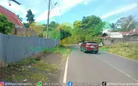 DIJUAL CEPAT TANAH CANTIK DAN STRATEGIS DI MAPANGET,HARGA SANGAT MURAH