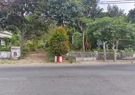 JUAL TANAH POROS DESA BANGGLE KANIGORO BLITAR