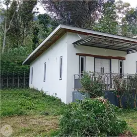dijual tanah BU luas murah bekas peternakan pasir jambu ciwidey