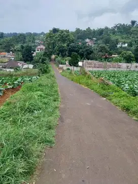 Dijual Tanah Cimeunyan Padasuka