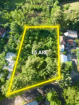TANAH 15 ARE KUTUH PINGGIR JALAN ASPAL