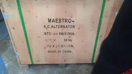 Stc Dinamo maestro