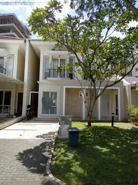 DISEWAKAN RUMAH CANTIK FULL FURNISHED DI CLUSTER DE FRANGIPANI BSD