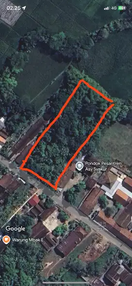BISA NEGO disewa tanah di paron ngawi dekat jalan raya
