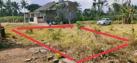 Tanah Murah Pakisjajar Pakis Malang SHM Dijual cepat B.U Poll L 169 m2