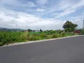 Dijual Murah Tanah Kavling Pekarangan Cocok Untuk Villa,Homestay,Rumah