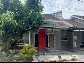 Jual Rumah Di Cluster Harga bisa nego