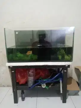 AQUARIUM UKURAN 60 X 40 X 40 KELENGKAPAN = MEJA + AERATOR + SELANG