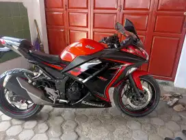 Ninja 250 FI SE