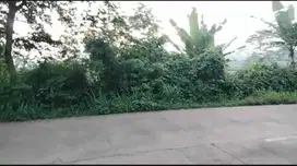 dijual tanah kampung cikoneng, curug serang banten