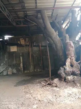 Disewakan gudang jl kapuk poglar