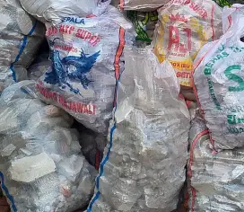 Puing Gratis Sudah Dikarungin Tinggal Bawa Mutiara Gading Timur