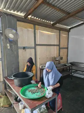 Lowongan Sortir biji tanpa pengalaman