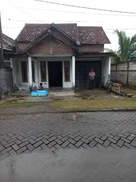 KELURAHAN PACUH, KECAMATAN BALONGPANGGANG, GRESIK