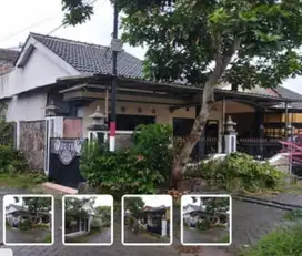 Dijual Rumah Murah di Perum Taman Mutiara Pejaten Bondowoso